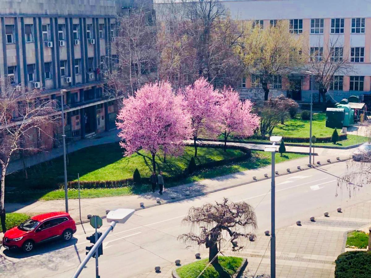 Bella Studios Kruševac المظهر الخارجي الصورة